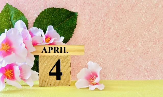 �����ץ��ա��� - �֡�������.com