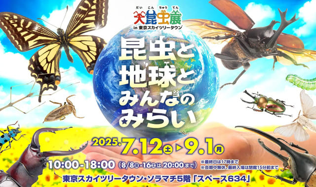 �纫��Ÿ in ����������ĥ꡼������ - �֡�������.com
