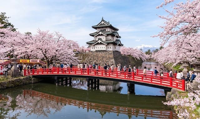 ����������ޤĤ� - �֡�������.com