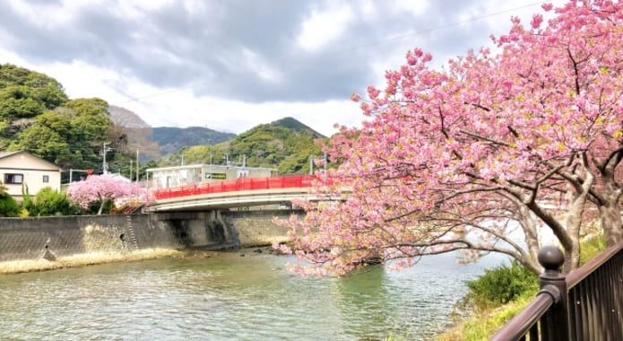 ���ź��ޤĤ� - �֡�������.com