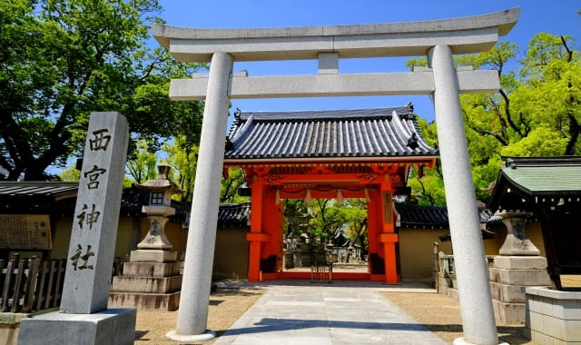 ���ܿ��ҡ�ʡ������ - �֡�������.com