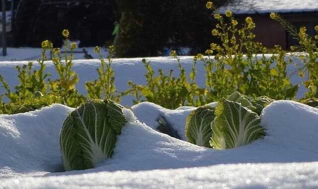 Ω�� - �֡�������.com