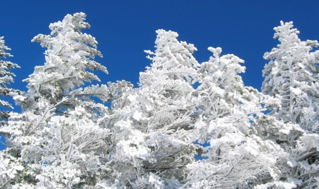 ���� - �֡�������.com